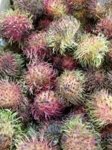 rambutan fruit